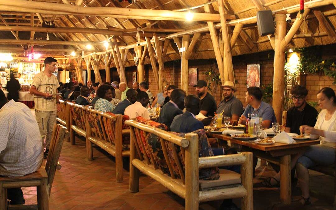 Experience Customer Care the Dreamland Way