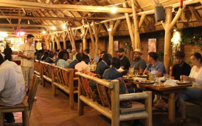 Experience Customer Care the Dreamland Way